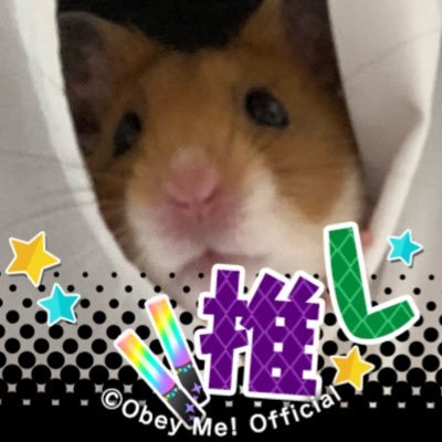 やさい🌱さんのプロフィール画像