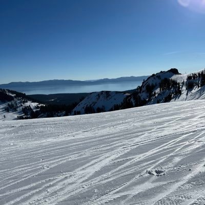 npremute's profile picture. 