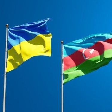 SelaleQuliyeva3's profile picture. 