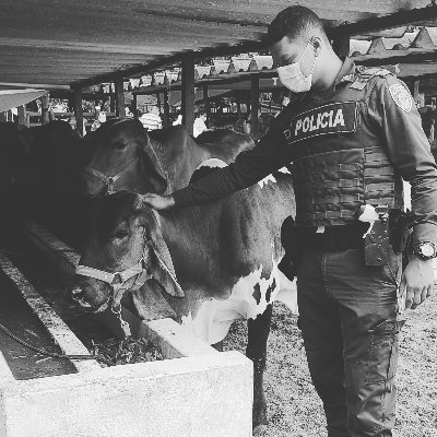 POLICIA NACIONAL DE COLOMBIA