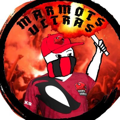 Wir sind Marmots! / Treue Unterstützer des besten Esports-Verein der Schweiz @marchmarmots / Fangesänge und Friendly Banter sind ein Muss! #GoMarmots #MMUltras