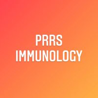 PRRS Immunology Group (@prrs_immunol) 's Twitter Profile