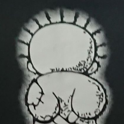 Cihanebuzer's profile picture. 