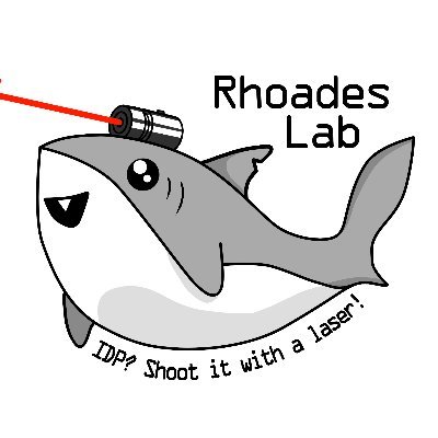 Intrinsically Disordered Protein? Shoot it with a laser! The official Twitter account of the Rhoades Lab in the Chemistry Dept of the University of Pennsylvania