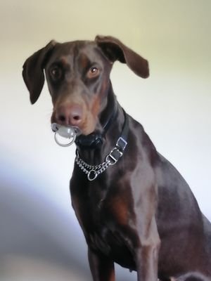 Cloudynight123's profile picture. 