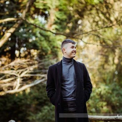 dobricu's profile picture. UI / UX Designer