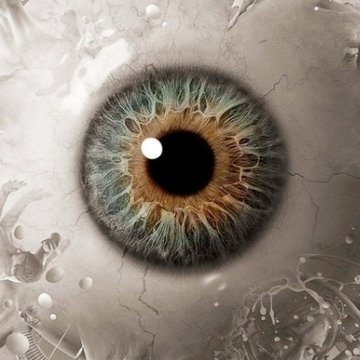 Alberto01812134's profile picture. Sexo ,videojuegos ,noticias ,misterio, terror,anime,manga,morbo...y todo lo que me parecka que pueda compartir con buen royo y siempre con respeto...