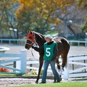 Miranda Downing - @MirandaxDowning - Twitter