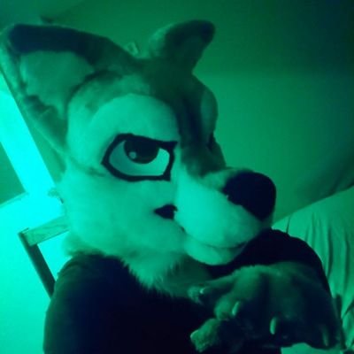 Arg 🇦🇷 / 32 / Murrsuiter / Daddy Wolf / WARNING: A lot of +18 content 🔞 / Compulsive +18 reposter / NO minors and NO randoms / Just a horny wolf