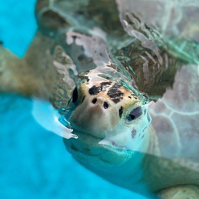 The Marine Environmental Education Center (MEEC) is Broward County's premier destination for coastal and marine education for the public and school groups.