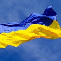 подснежник в декабре (@svb7) 's Twitter Profile