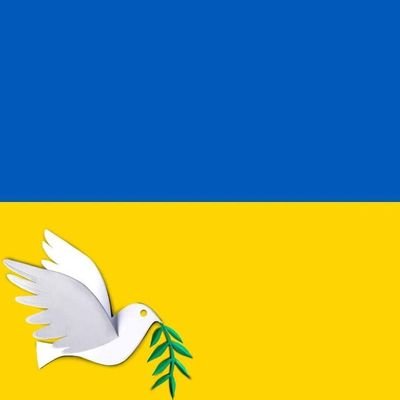 InmanJennifer1's profile picture. Life motto:  Dessert First  // 

International Relations, Eastern Europe, Russia, US Foreign Policy,  Hungarian & French languages, TEFL.