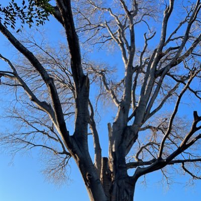 pauestruk's profile picture. 