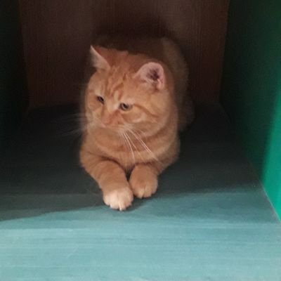 qKKNnzcmRidF7LE's profile picture. люблю свою родину, свою країну 🇺🇦