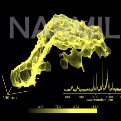 NAno-RAMAN Molecular Imaging Lab (NARMIL) Profile