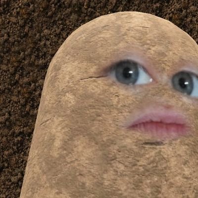 bearprincess21's profile picture. I play video games and shit post. Enjoy.