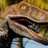 Velocizachtor's profile image