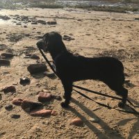 Jan Rouse (@jankeapho) 's Twitter Profile