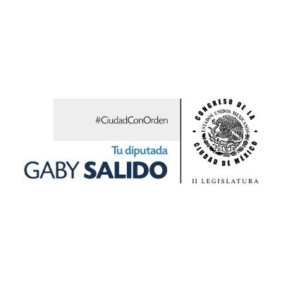 Cuenta de Atención de la Diputada @gabysalido.
#CDMX #CiudadConOrden