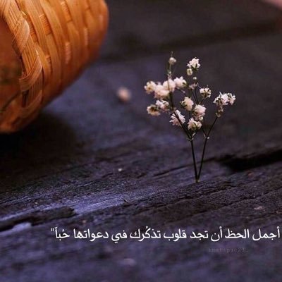 📖 فتاة مرحة تعشق الكتب والروايات | 🎨 شغوفة بكل هواية تضيف لمسات من الأبداع لحياتي