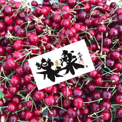 aburaya_farm's profile picture. 長野県の南部、松川町でさくらんぼ、りんご、梨、洋梨を栽培しています。 ハリスホーク、ミミズク、リクガメ、ワンコたちと日々戯れながら農作業をしています。 下記のリットリンクからLINE公式アカウントを 登録してお気軽にお問い合わせください☆↓↓↓↓ https://t.co/2NMCYsXGES