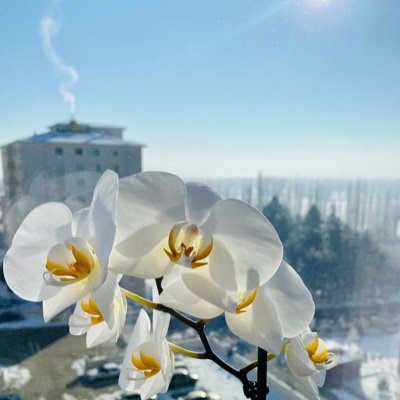 Beni bırakın kendi halime, çok bitkinim ve de yorgunum