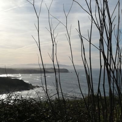 isabelagelaz's profile picture. 