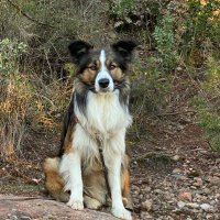 Jordi (@jordicucurullof) 's Twitter Profile