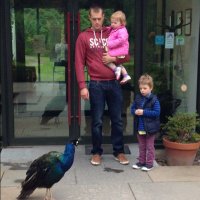 Alastair Macleod (@almacsky) 's Twitter Profile