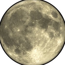 Apenas uma pessoa que não fica calada e fala na cara