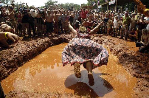 anorexichippo's profile picture. 