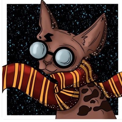 juanma14_93's profile picture. 