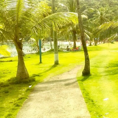 danserranocar's profile picture. Yo