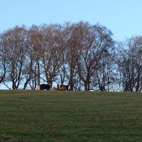 PrestwichNow (@nowprestwich) 's Twitter Profile