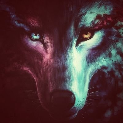 __drajarshi__'s profile picture. just wandering around....