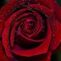 . (@nothingmore55) Twitter profile photo