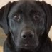 Madeline Sandberg (@madelinesandb11) Twitter profile photo Madeline Sandberg (@madelinesandb11) Twitter profile photo