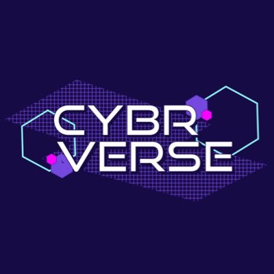 the cybrverse experience