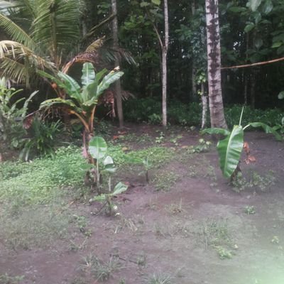anggap saja tidak ada