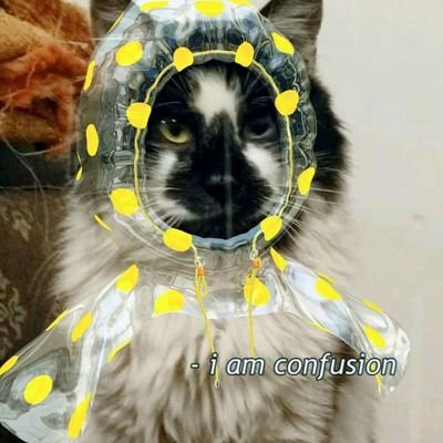 َ­さんのプロフィール画像