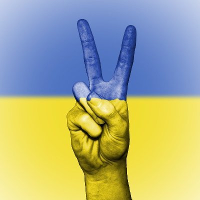 Every war is horrible. Make peace not war. If you want to support people of Ukraine 👇👇👇 #Ukraine #NoWar #UkraineInvasion #NFT  #NFTcommunity #Opensea