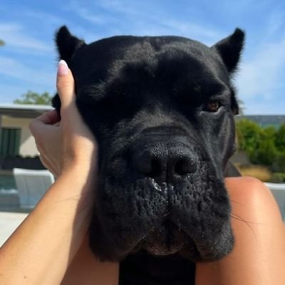 vemon0011's profile picture. 🧝‍♀️