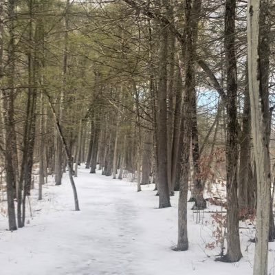 galaxyyyxo's profile picture. 🖤
