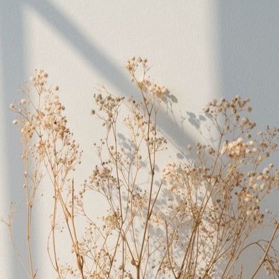 kyonkyonkdrama's profile picture. 韓ドラ垢⋆꙳ 視聴中→？？！ 視聴予定→？？？(NETFLIX/アマプラ) 普段は箱推しJAM𓂃𓈒𓏸︎︎︎︎ ❤︎