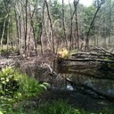 Jenna Dee - @JennaTwinCities - Twitter