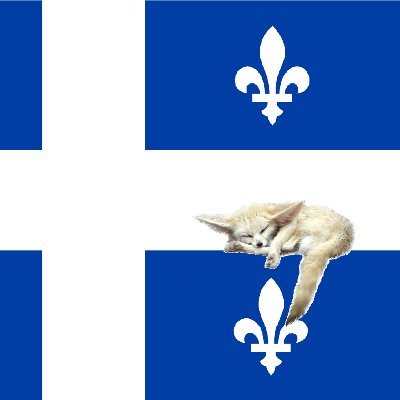 22 | il/lui/he/him | bisexuel
⚜souverainiste⚜
Bilingue Français/Anglais
#StandWithUkraine