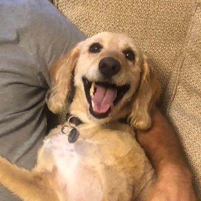 WithCheryl's profile picture. I finally realized my kids are gonna mock me anyway...