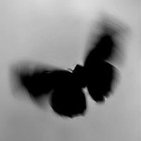 ゆうな (@vhrkzy) Twitter profile photo