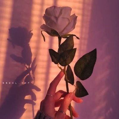 11_xqll's profile picture. كن لله كما يريد..يكن لك فوق ما تريد🤍