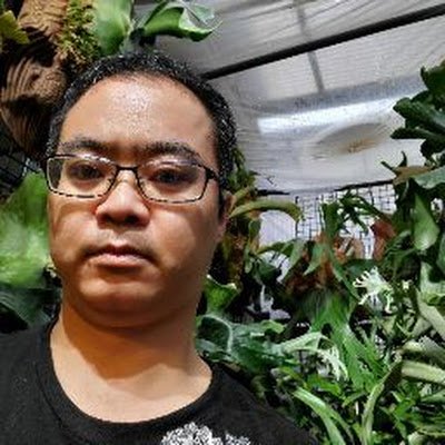 引き取り限定　植物 楽天市場】【マラソン期間限定1,300円オフ】☆楽天1位 日本正規